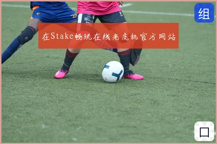 在Stake畅玩在线老虎机官方网站