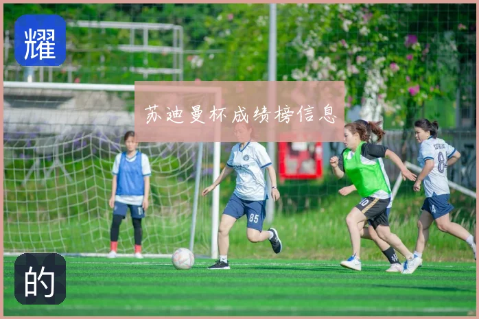 苏迪曼杯成绩榜信息